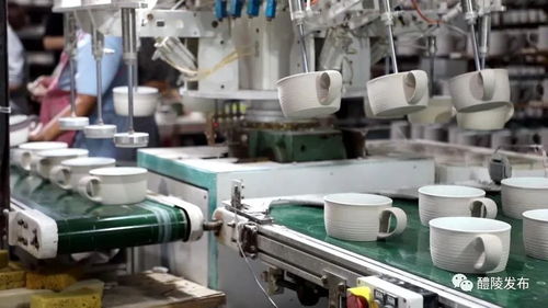 醴陵企業(yè)榮膺國(guó)家級(jí)示范點(diǎn) 網(wǎng)絡(luò)科技技術(shù)開發(fā)的卓越典范